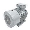 Электродвигатель асинхронный  АИС 355L6 250/1000 У2 исп 1081 DIN VEMPER