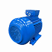 Электродвигатель асинхронный АИР 280S2 110/3000  У2 исп 1081  VEMPER