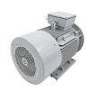 Электродвигатель асинхронный АИС 280S4 75/1500 У2 исп 2081 DIN VEMPER