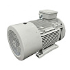 Электродвигатель асинхронный АИС 180L6 15/1000 У2 исп 2081 DIN VEMPER
