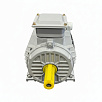 Электродвигатель асинхронный АИР 100L6 2,2/1000   У2 исп 1001 ELAN