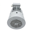 Электродвигатель асинхронный АИС 280S4 75/1500 У2 исп 2081 DIN VEMPER